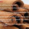 Cinnamon Cinnamon Tips