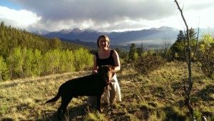 Brown Dog in the Valley