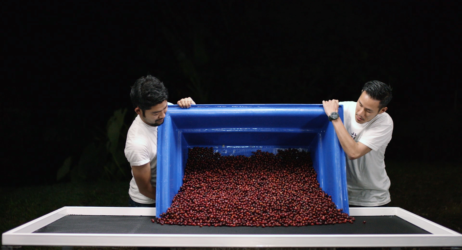 ninety plus coffee roasters
